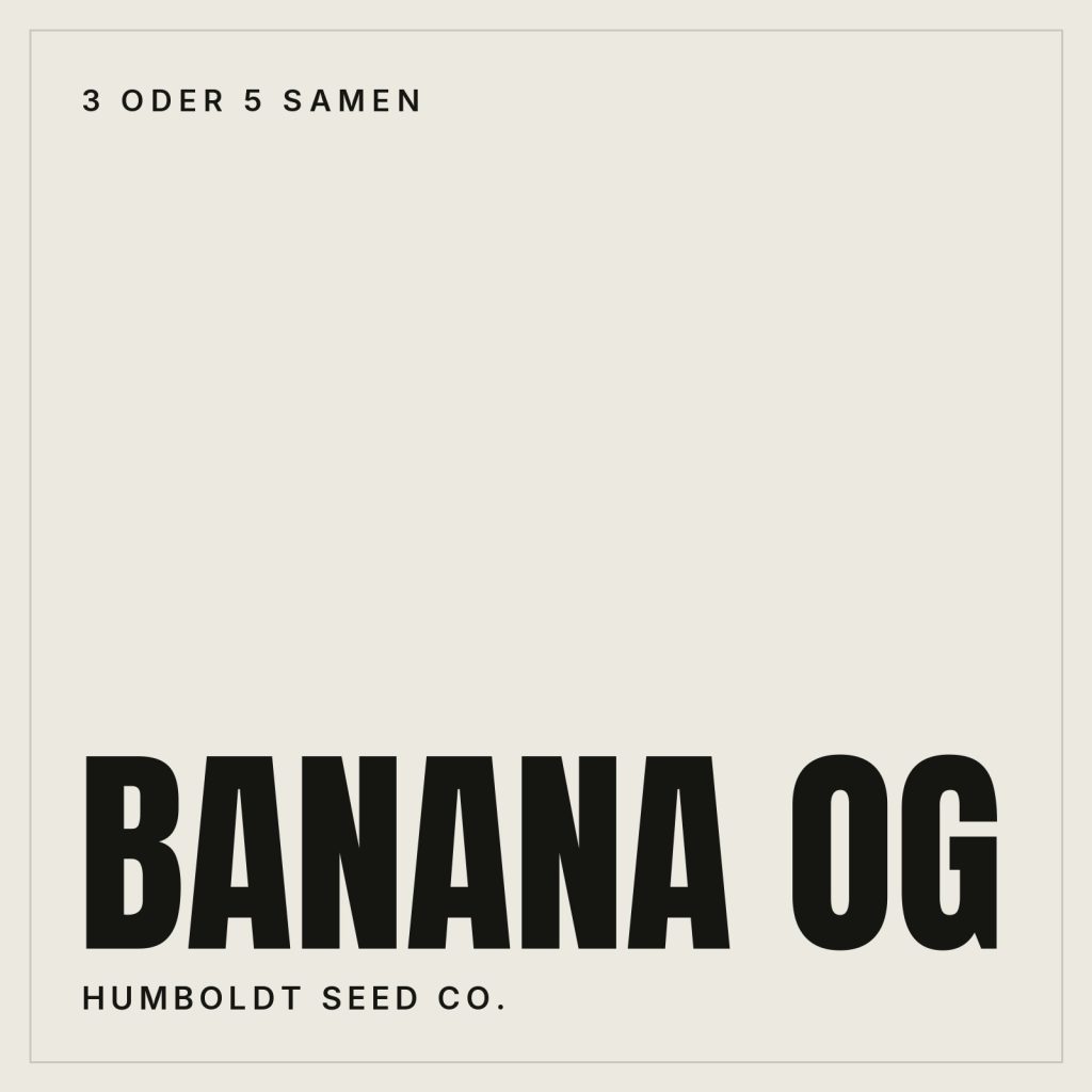 Humboldt Seed Co. Banana OG Feminisierte Hanfsamen
