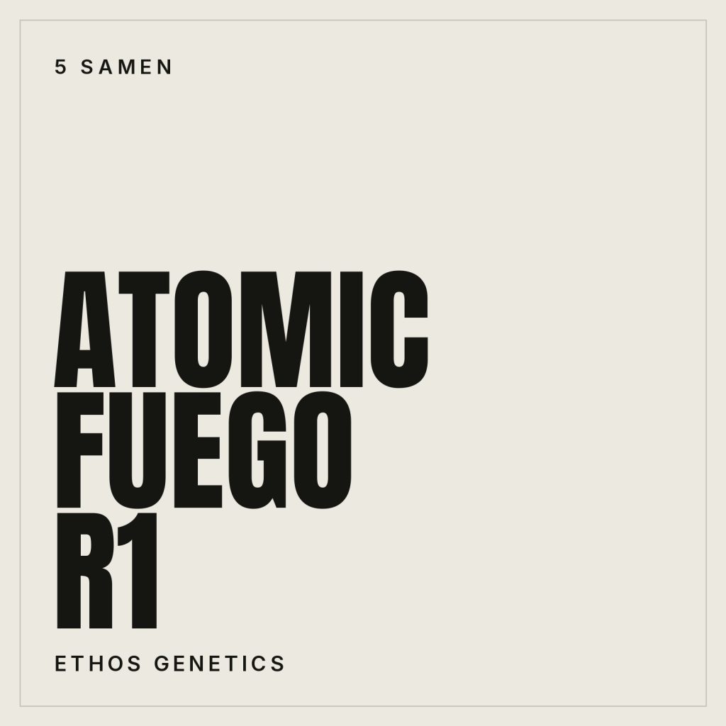 Ethos Genetics Atomic Fuego R1 Feminisierte Hanfsamen