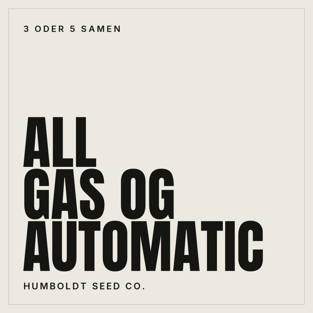 Humboldt Seed Co. All Gas OG Auto Autoflowering Hanfsamen