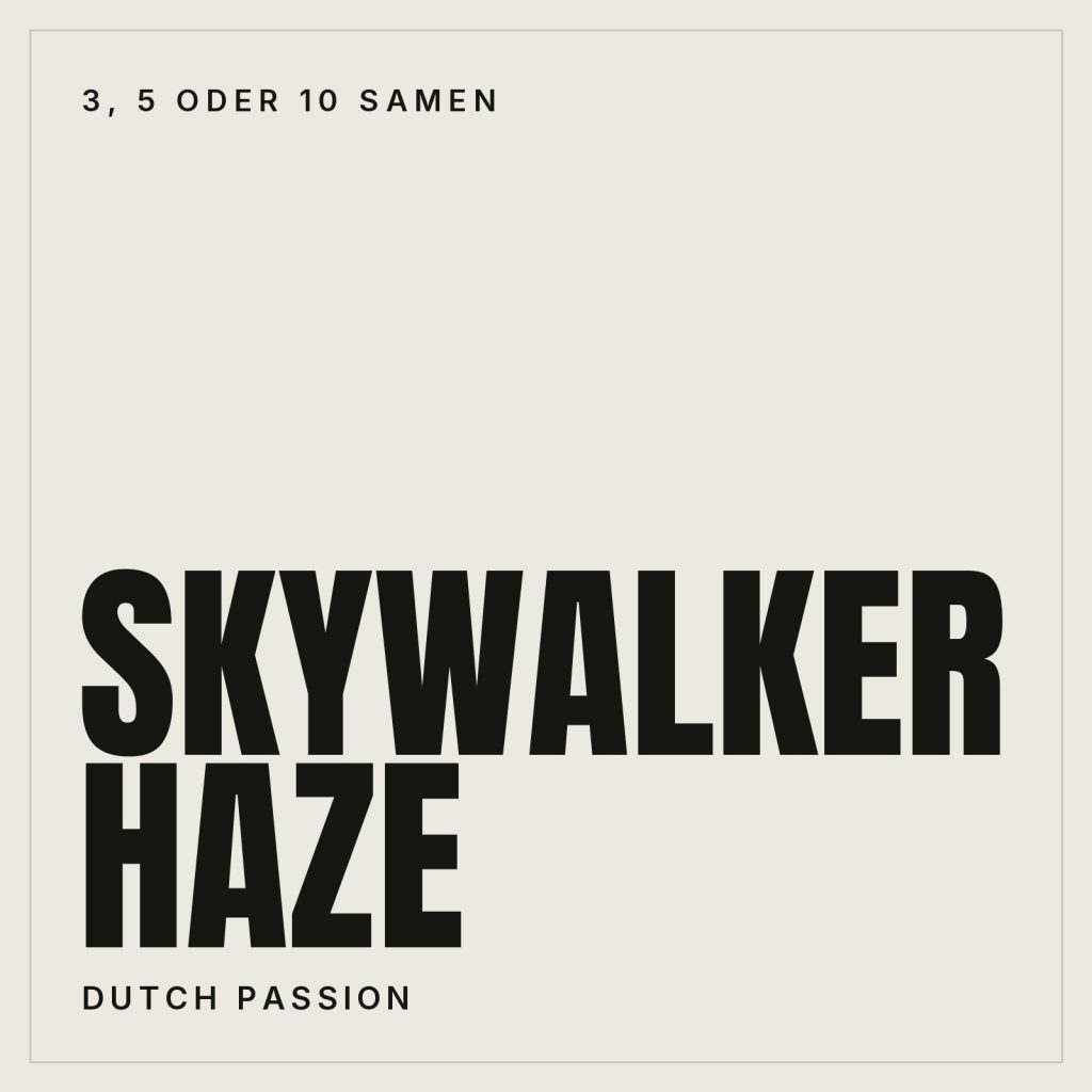 Dutch Passion Skywalker Haze
