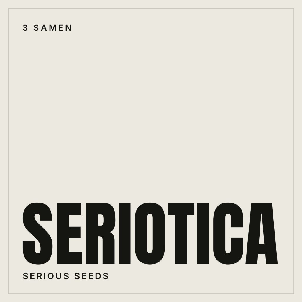 Serious Seeds Seriotica Hanfsamen