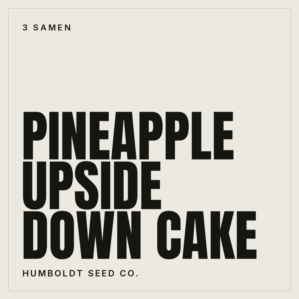 Humboldt Seed Co. Pineapple Upside Down Cake Hanfsamen