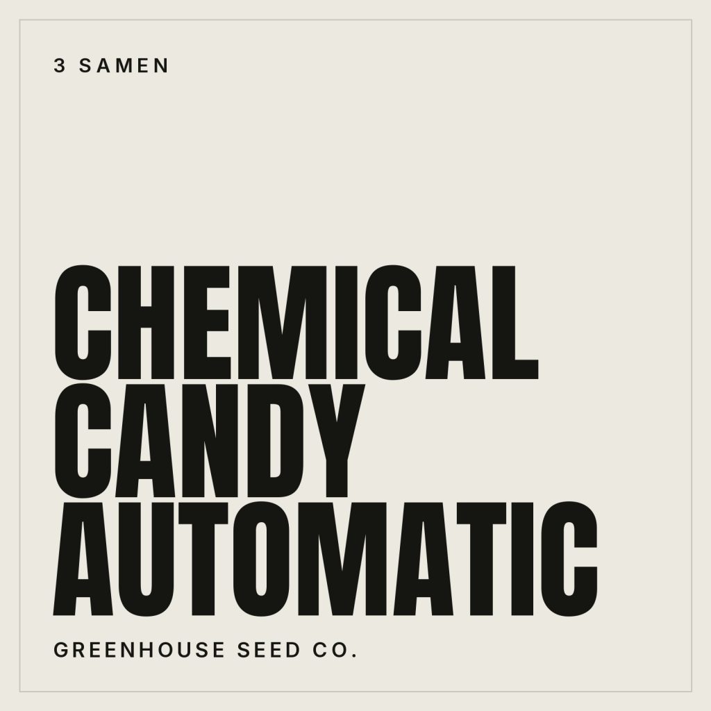 Greenhouse Seed Co. Chemical Candy Hanfsamen - Autoflowering