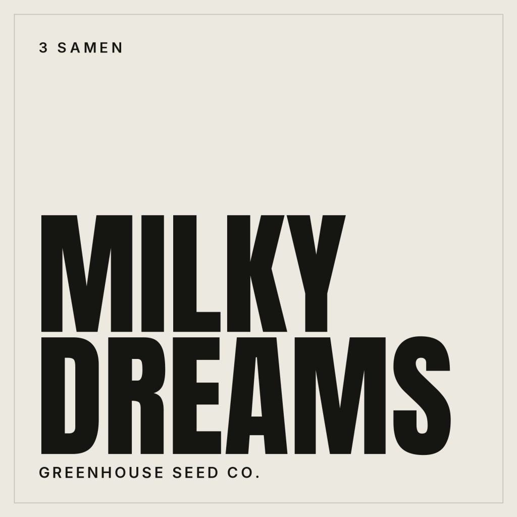 Greenhouse Seed Co. Milky Dreams Hanfsamen