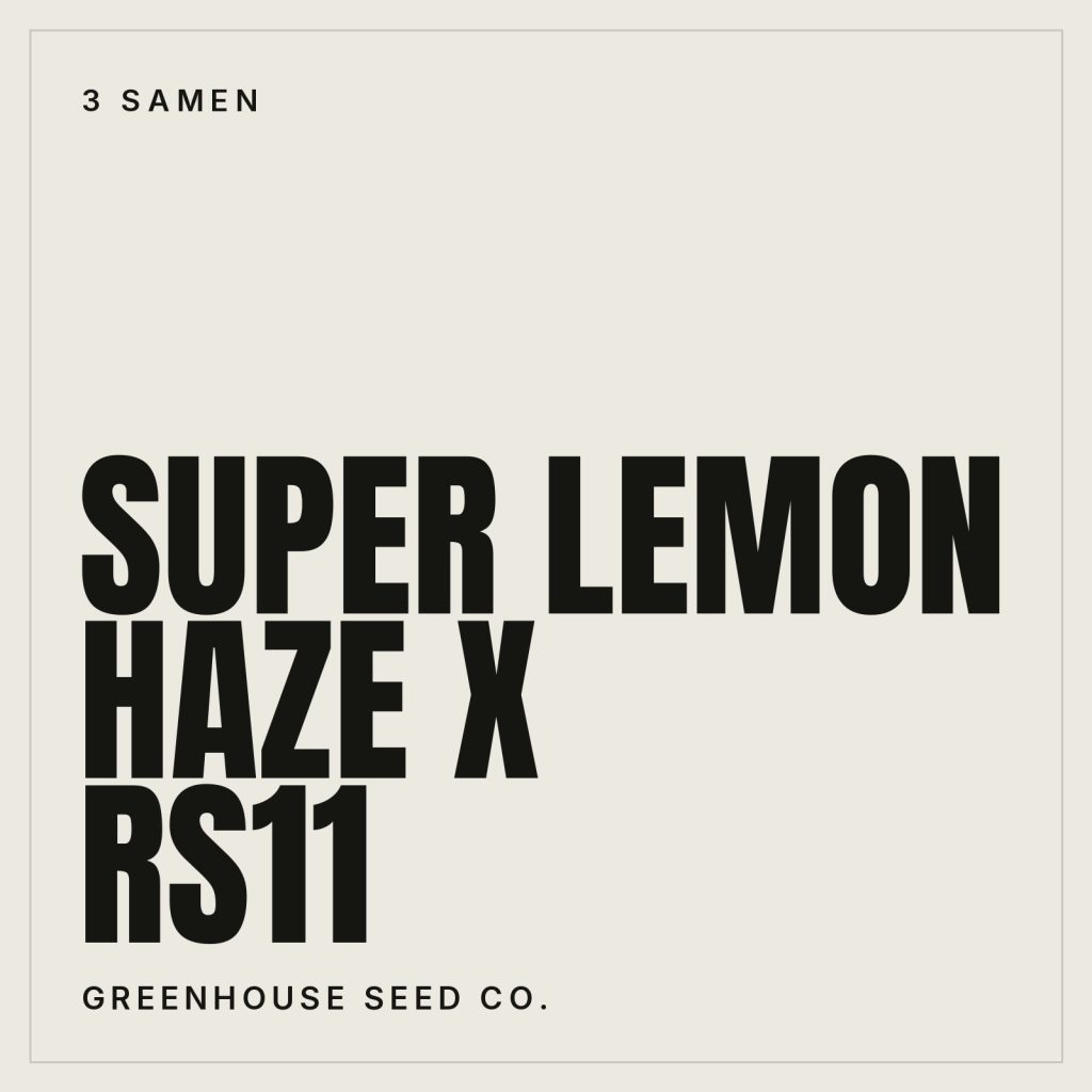 Greenhouse Seed Co. Super Lemon Haze x RS11 Hanfsamen