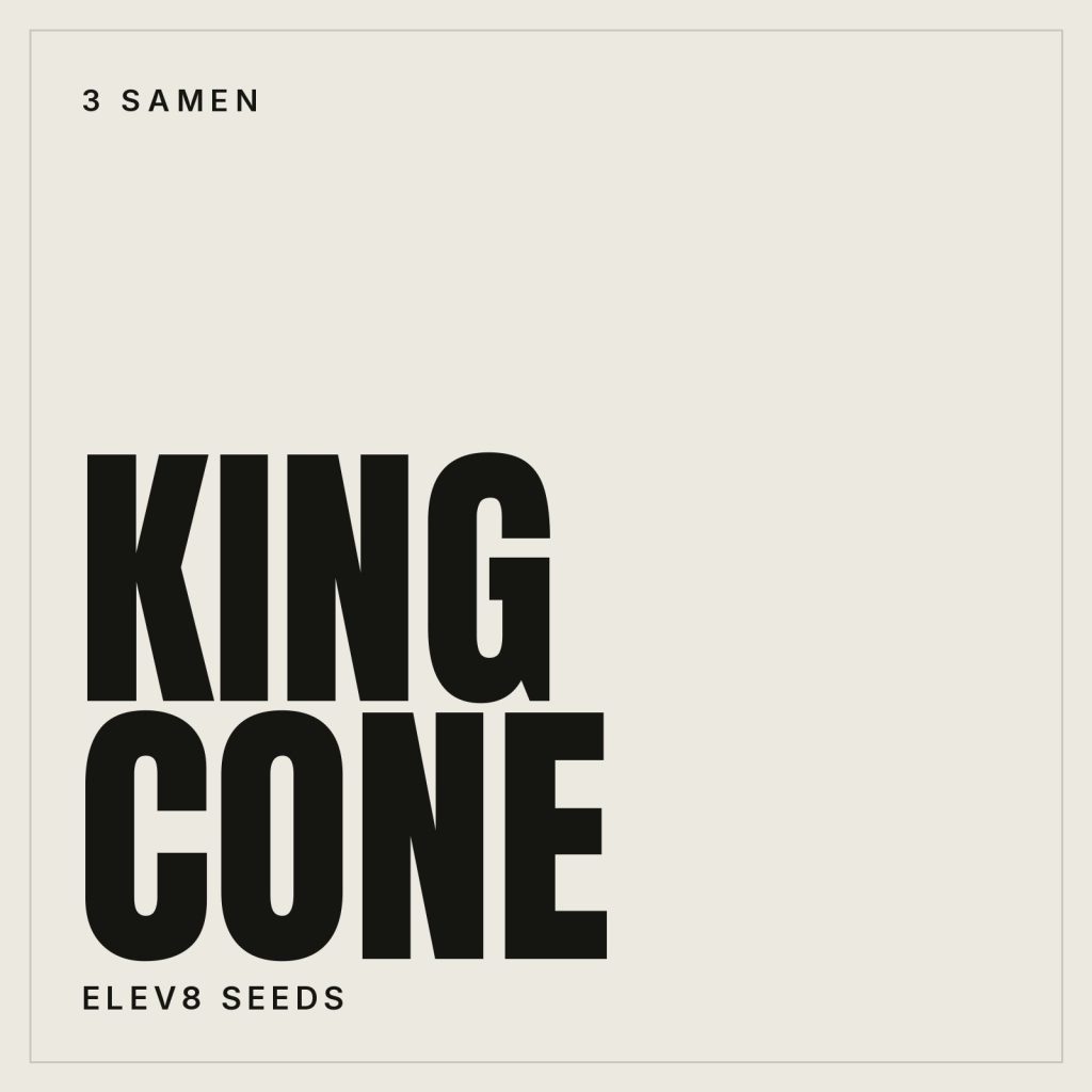 Elev8 Seeds King Cone Hanfsamen