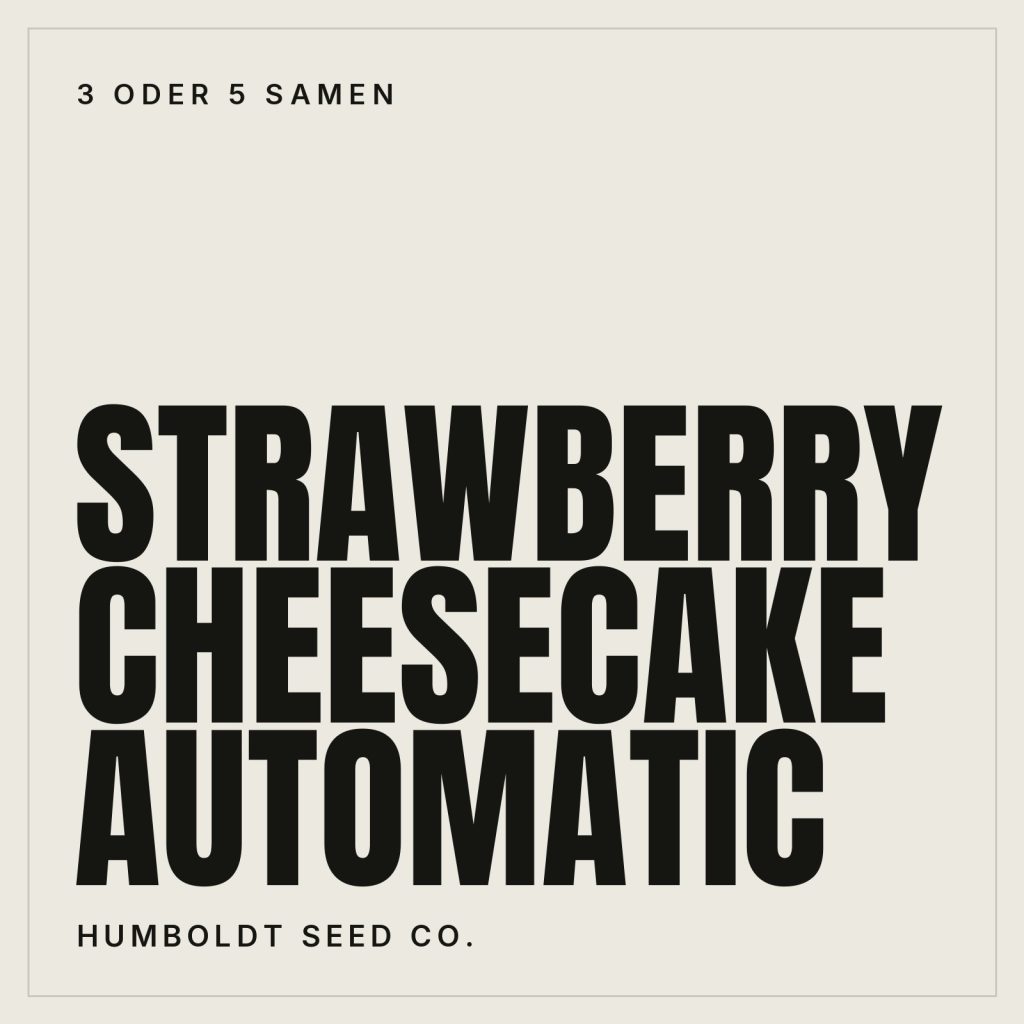 Humboldt Seed Co. Strawberry Cheesecake Automatic Hanfsamen