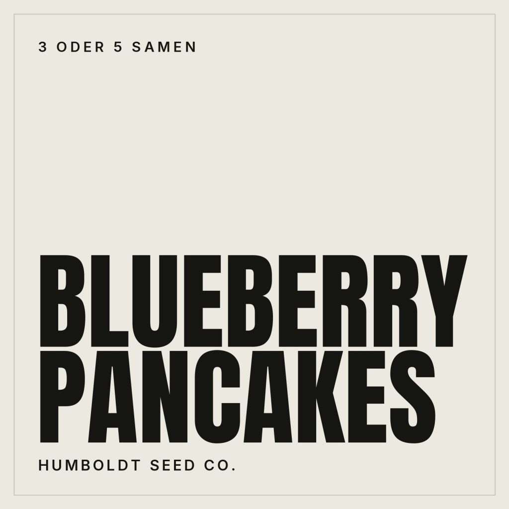 Humboldt Seed Co. Blueberry Pancakes Hanfsamen
