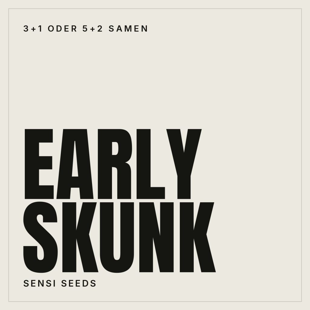 Sensi Seeds Early Skunk Hanfsamen