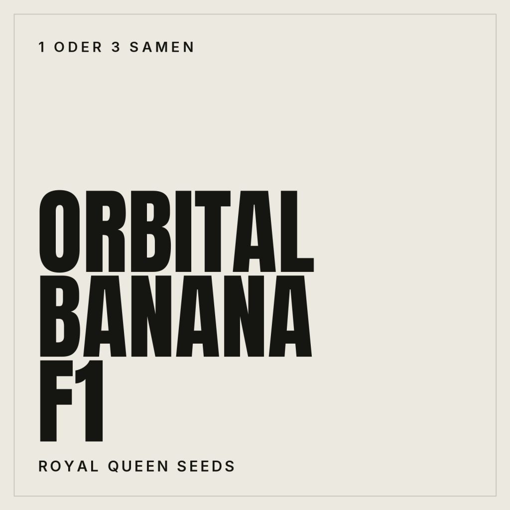 Royal Queen Seeds Orbital Banana F1 Hanfsamen