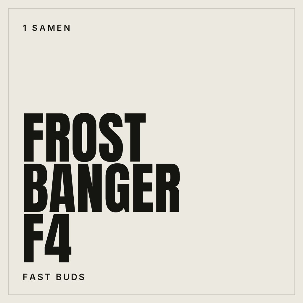 Fast Buds Frost Banger F4 Hanfsamen - Autoflowering