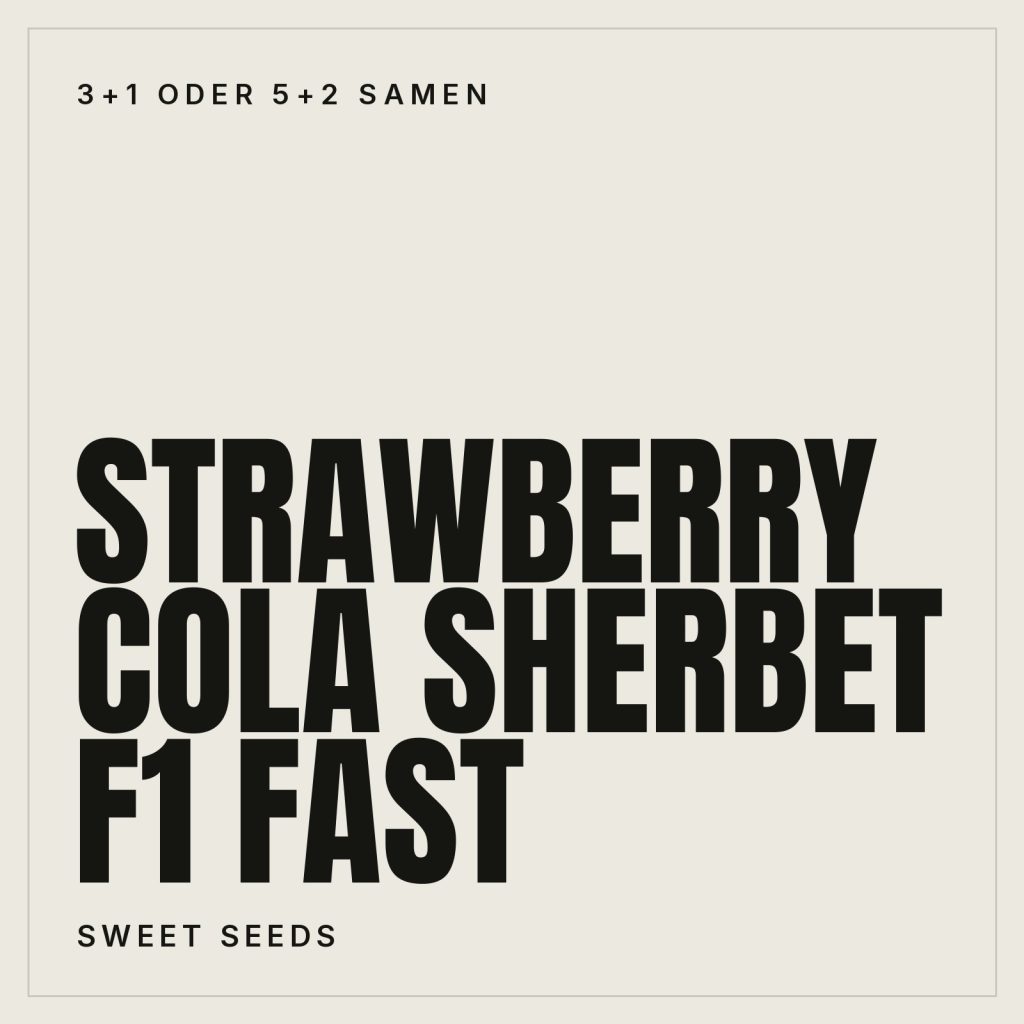 Sweet Seeds Strawberry Cola Sherbet F1 Fast Hanfsamen