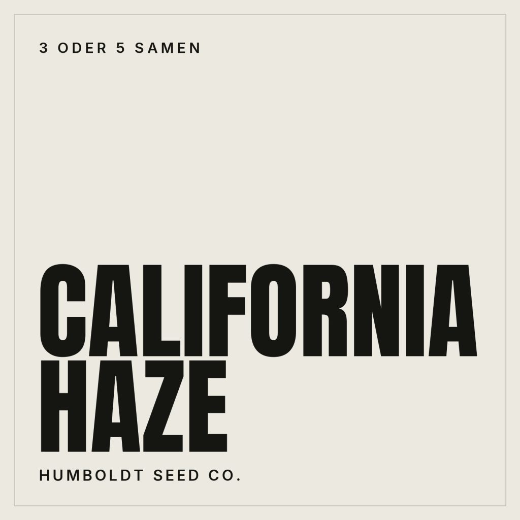 Humboldt Seed Co. California Haze Hanfsamen