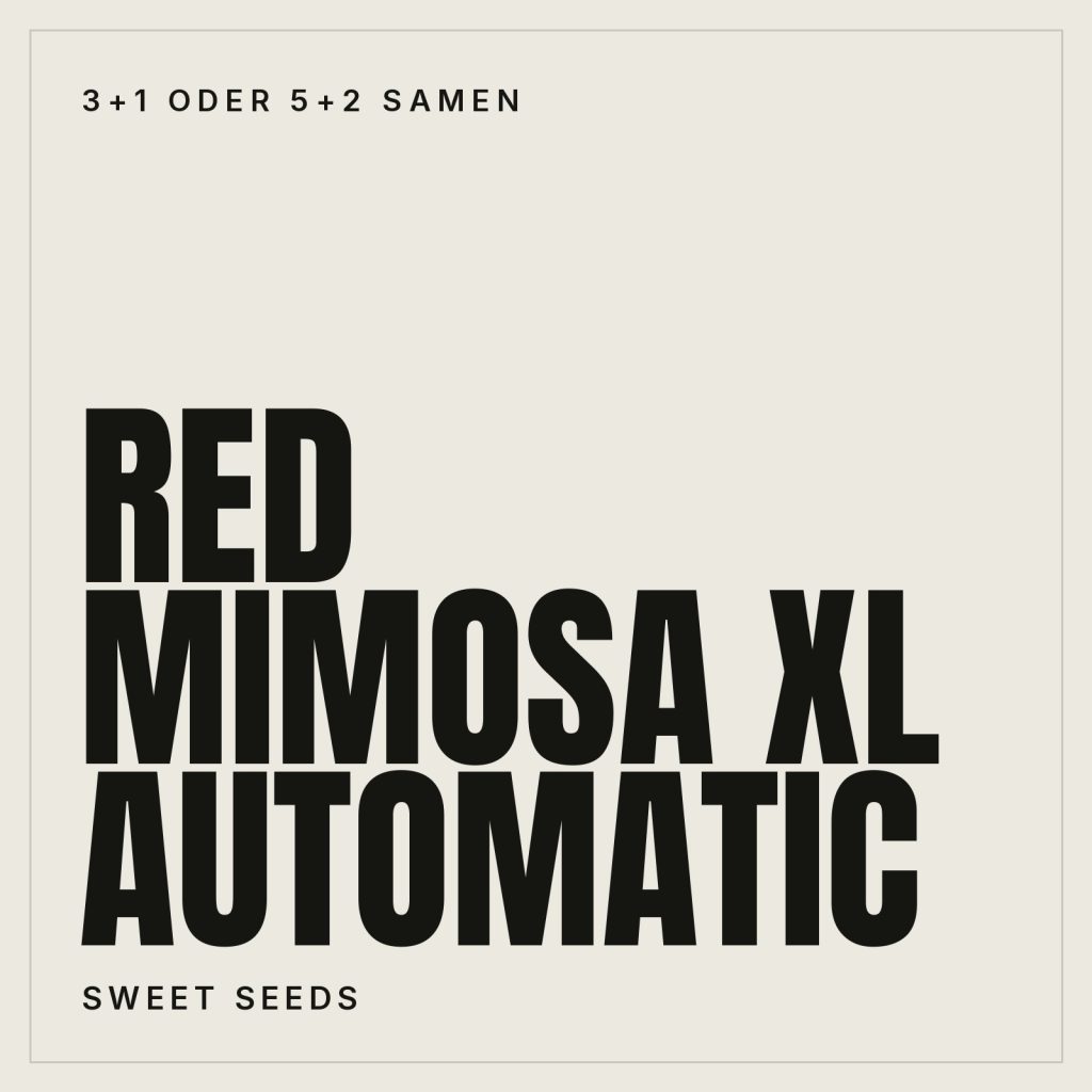 Sweet Seeds Red Mimosa XL Automatic Hanfsamen