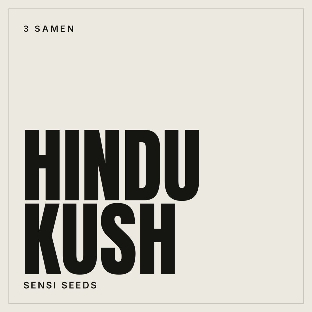 Sensi Seeds Hindu Kush Samen