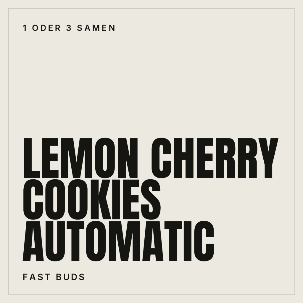 Fast Buds Lemon Cherry Cookies Hanfsamen - Autoflowering