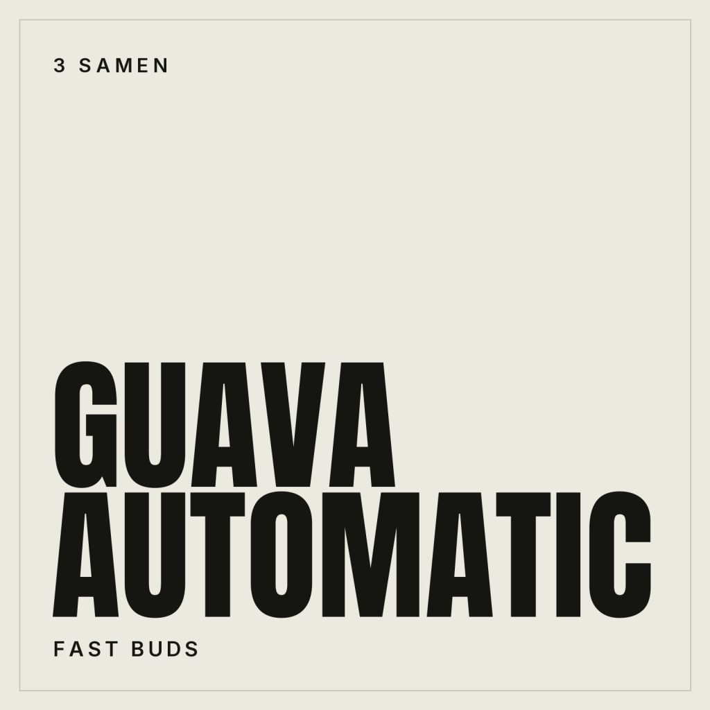 Fast Buds Guava Hanfsamen - Autoflowering