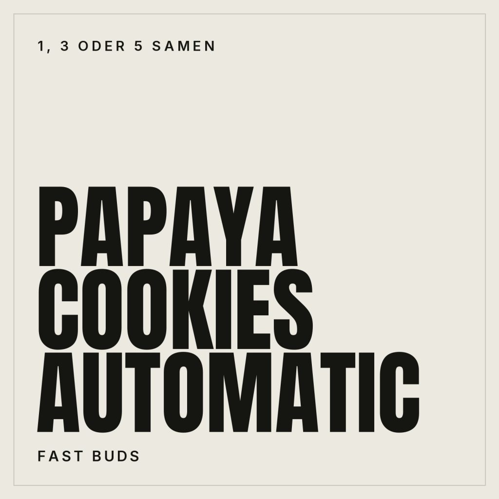 Fast Buds Papaya Cookies Hanfsamen - Autoflowering