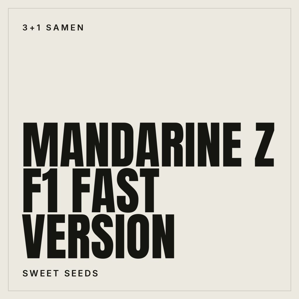 Sweet Seeds Mandarine Z F1 Fast Version Samen