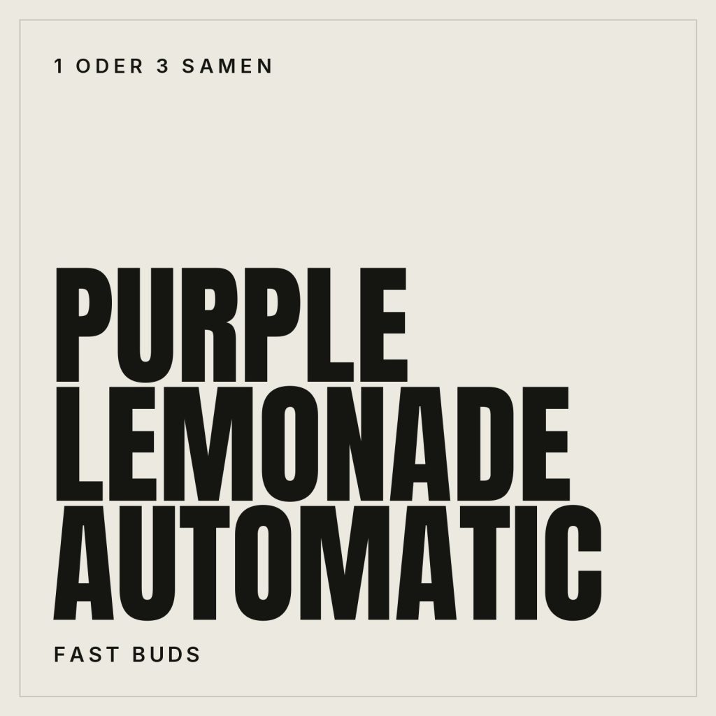 Fast Buds Purple Lemonade Autoflowering Samen