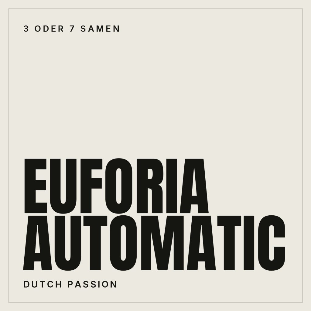 Dutch Passion Euforia Hanfsamen - Autoflowering