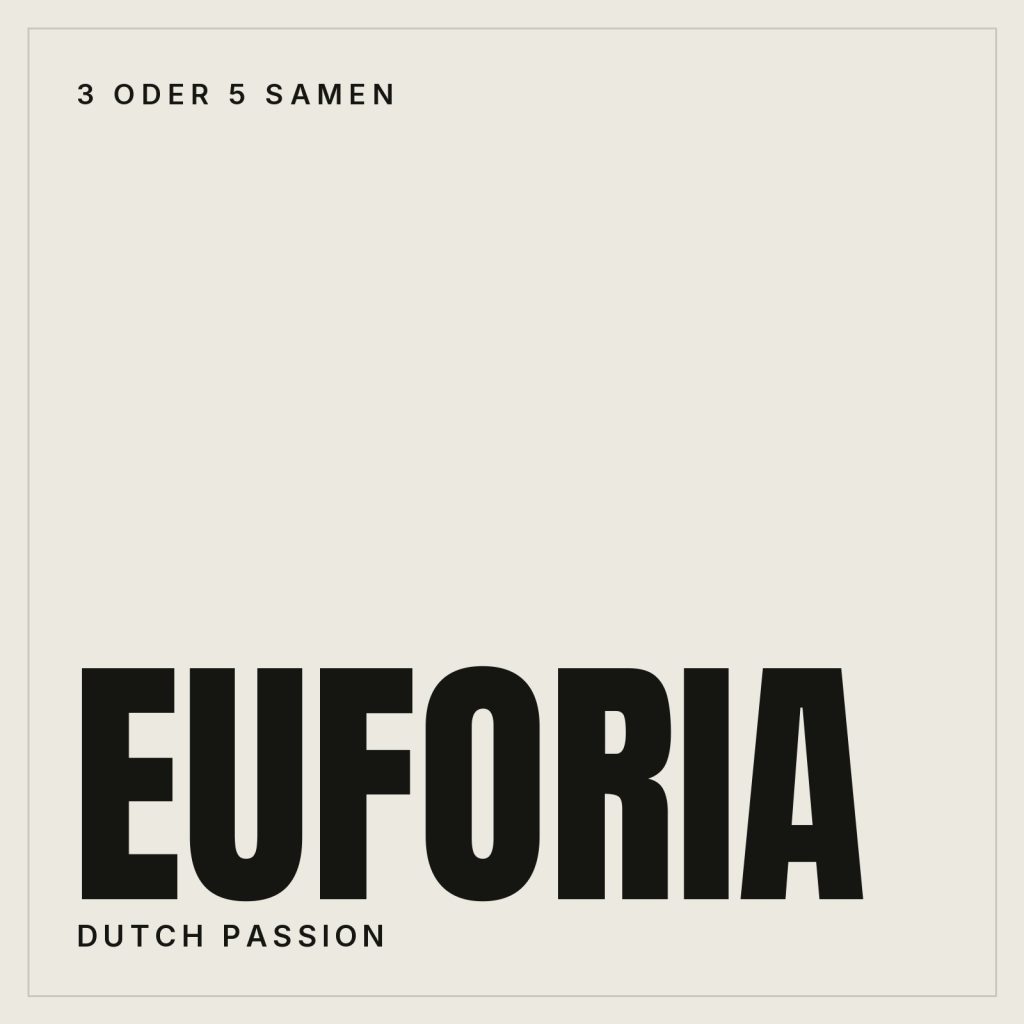 Dutch Passion Euforia Hanfsamen