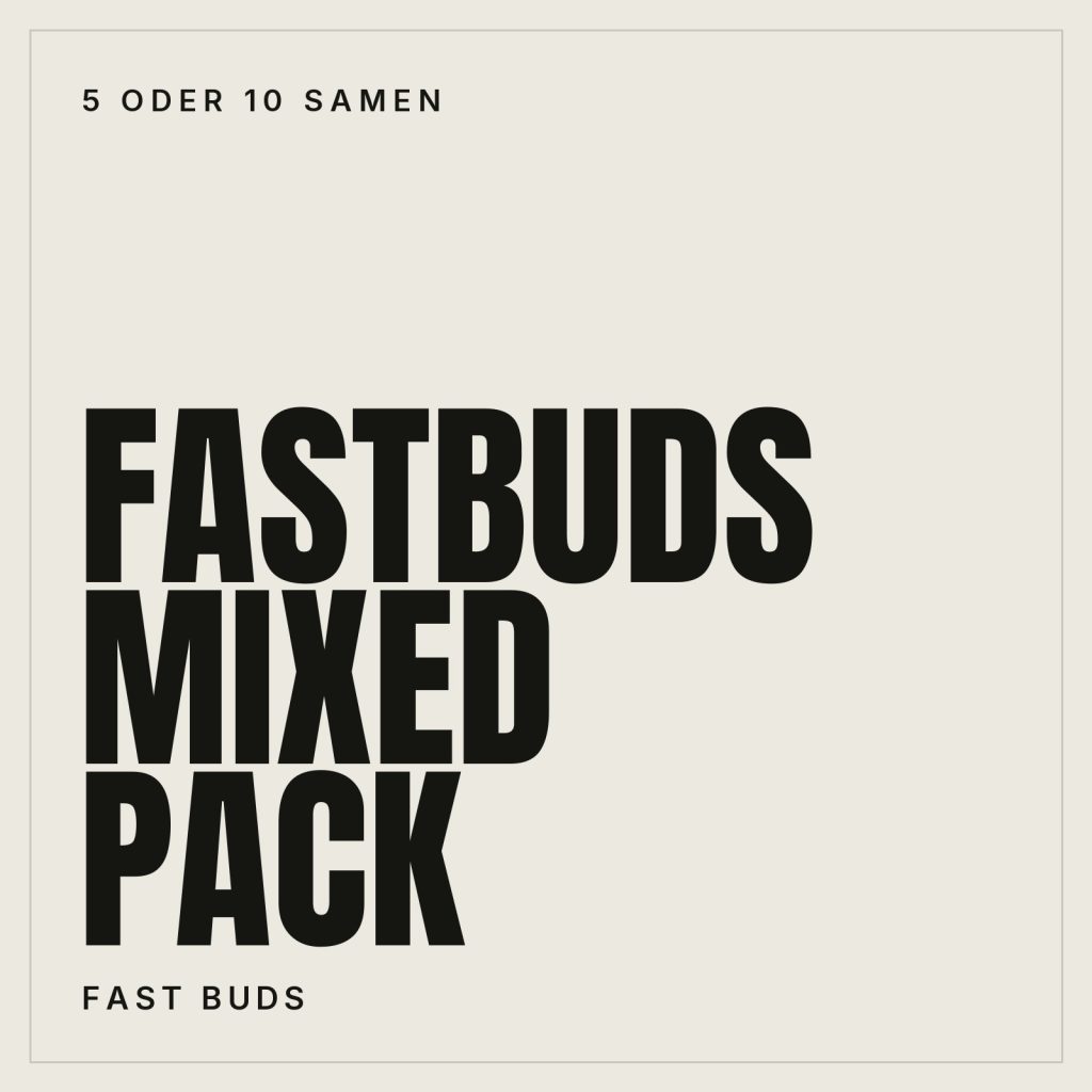 Fast Buds Mixed Pack Hanfsamen - Autoflowering
