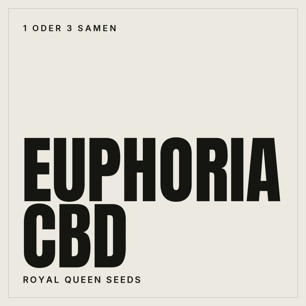 Royal Queen Seeds Euphoria CBD Hanfsamen