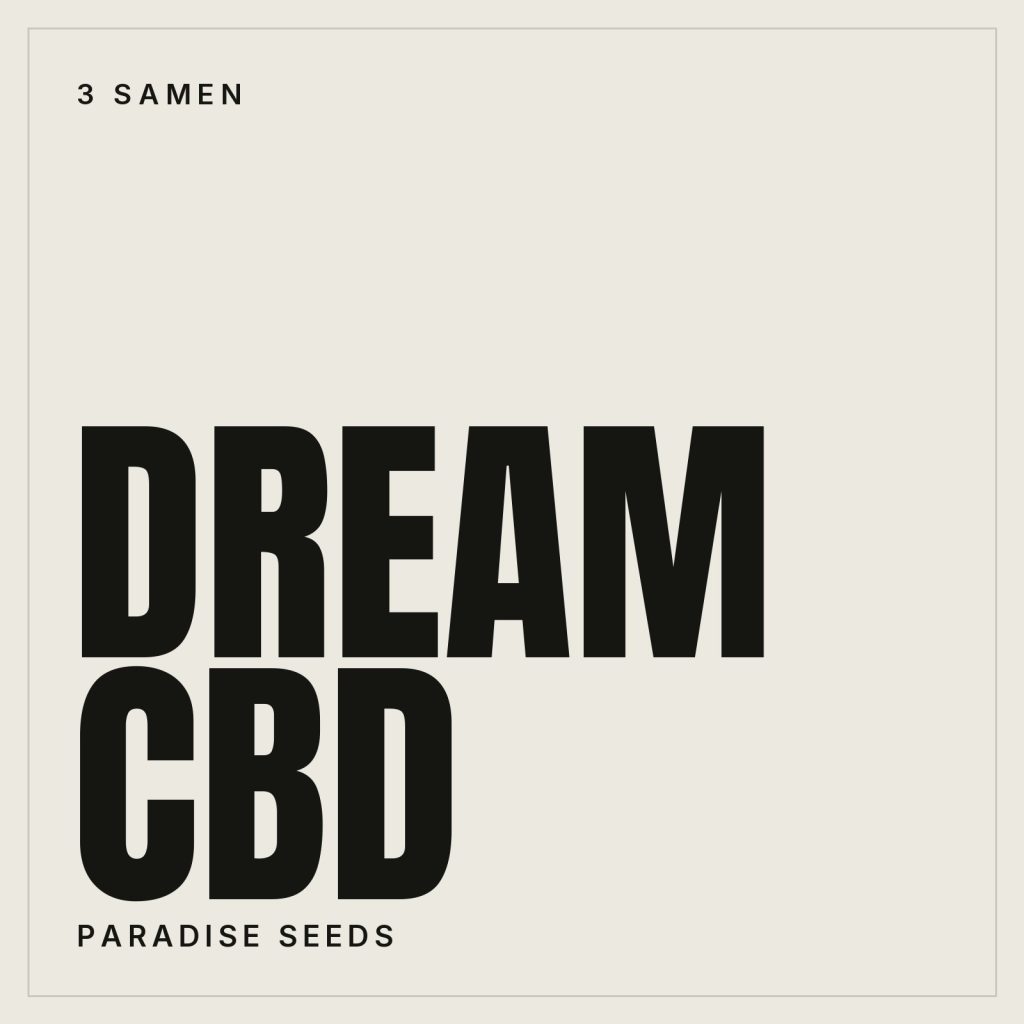 Paradise Seeds Dream CBD Samen
