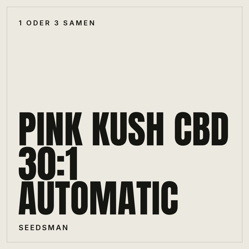 Seedsman Pink Kush CBD 30:1 Samen - Autoflowering