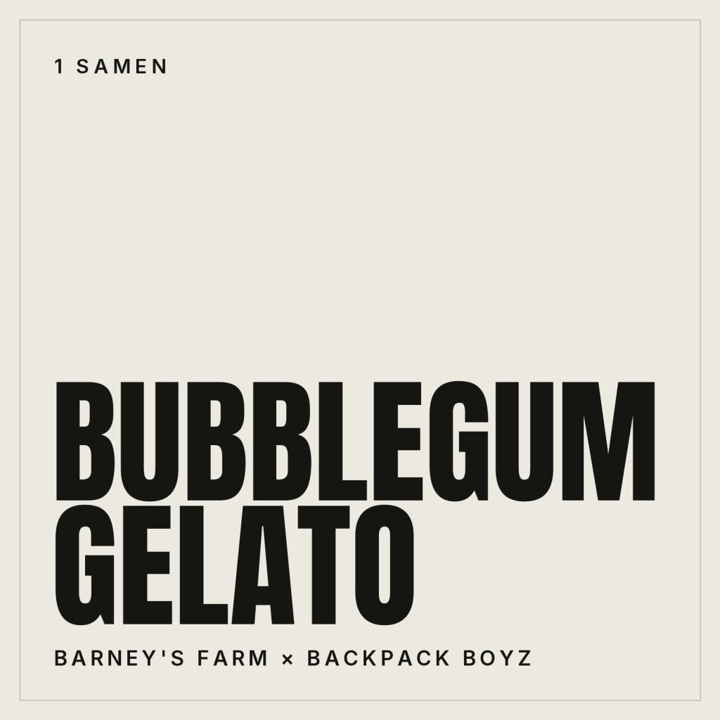 Barney's Farm Bubblegum Gelato