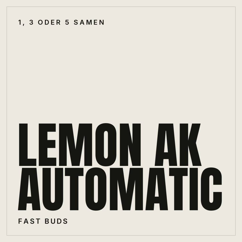 Fast Buds Lemon AK - Autoflowering