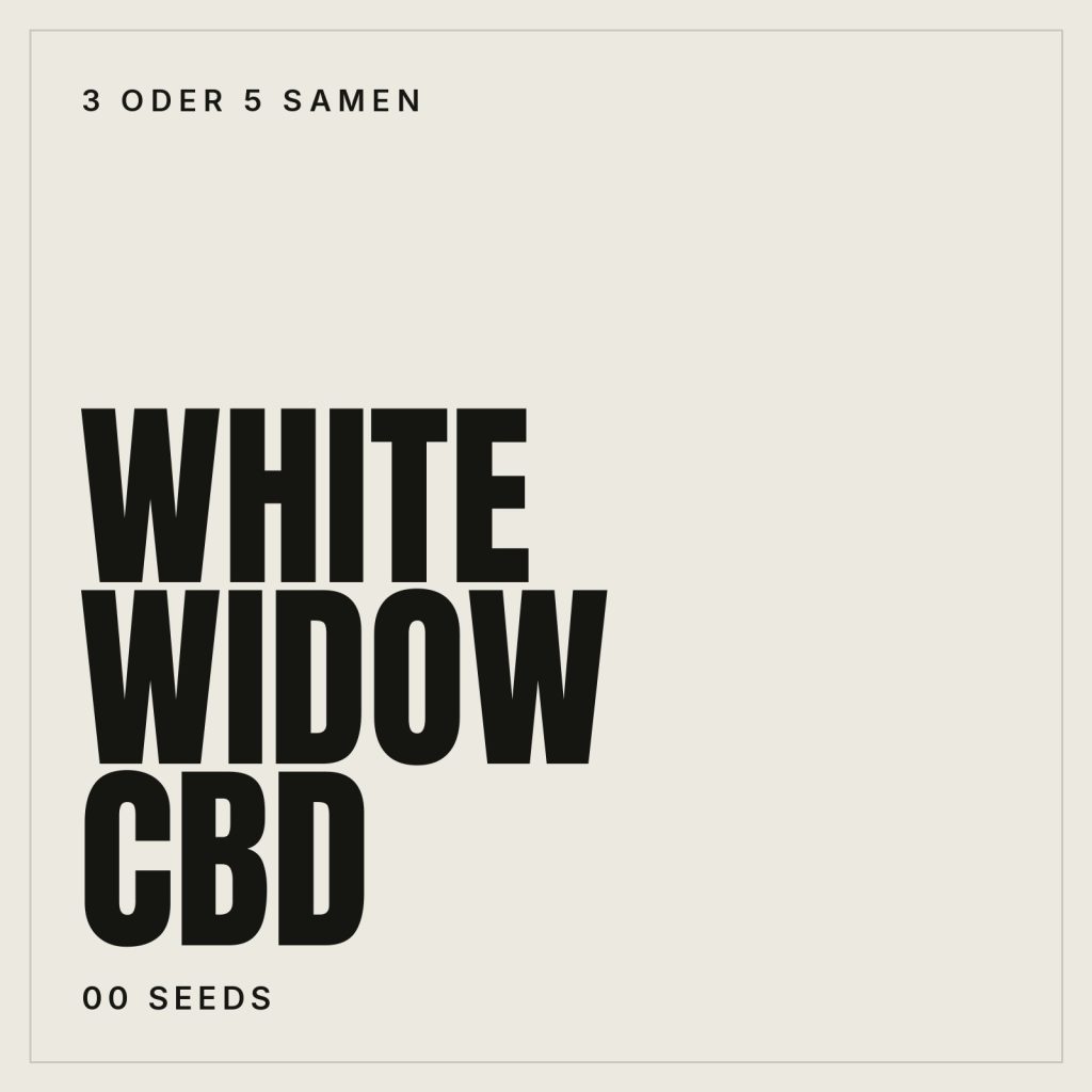 00 Seeds White Widow CBD Samen