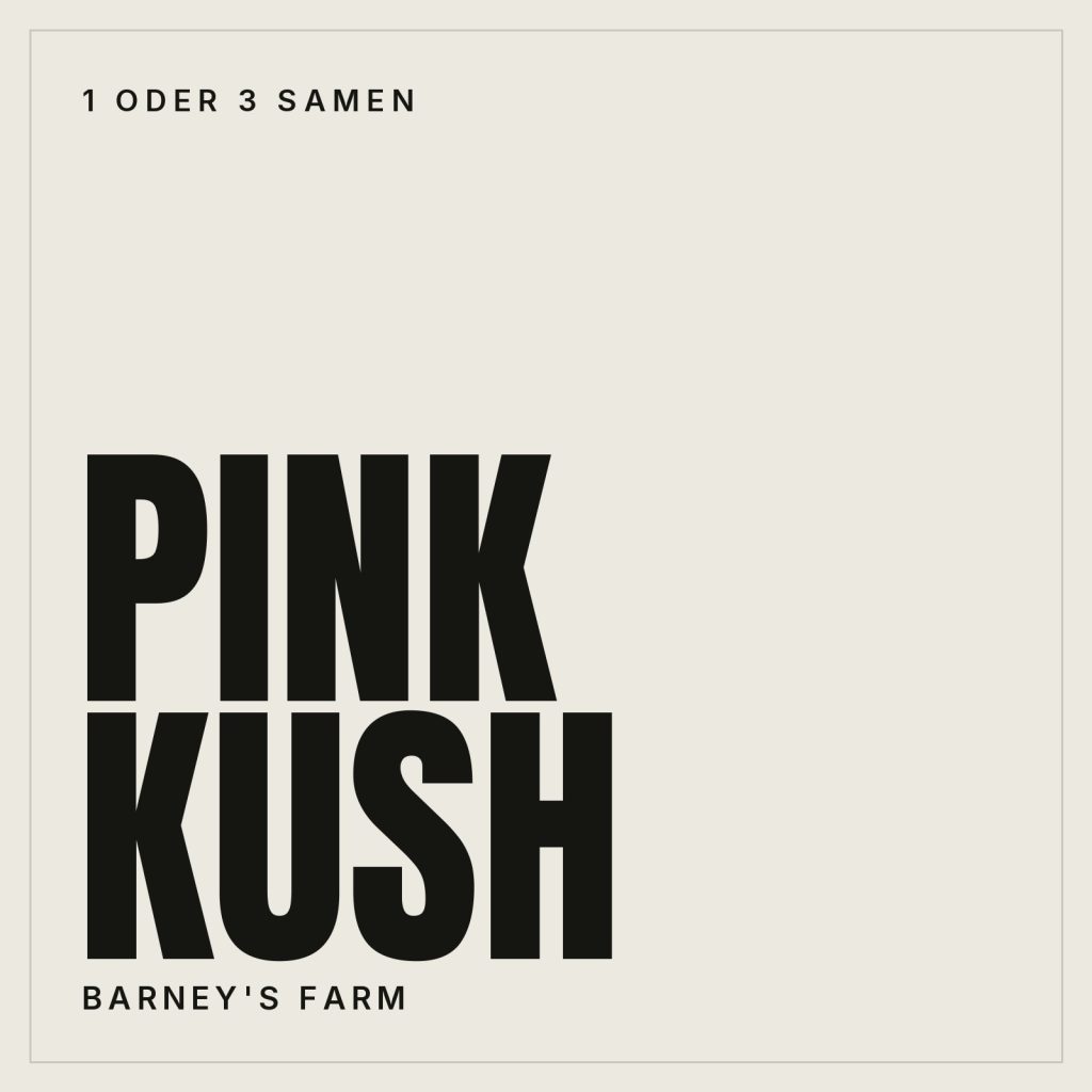 Barney's Farm Pink Kush Samen