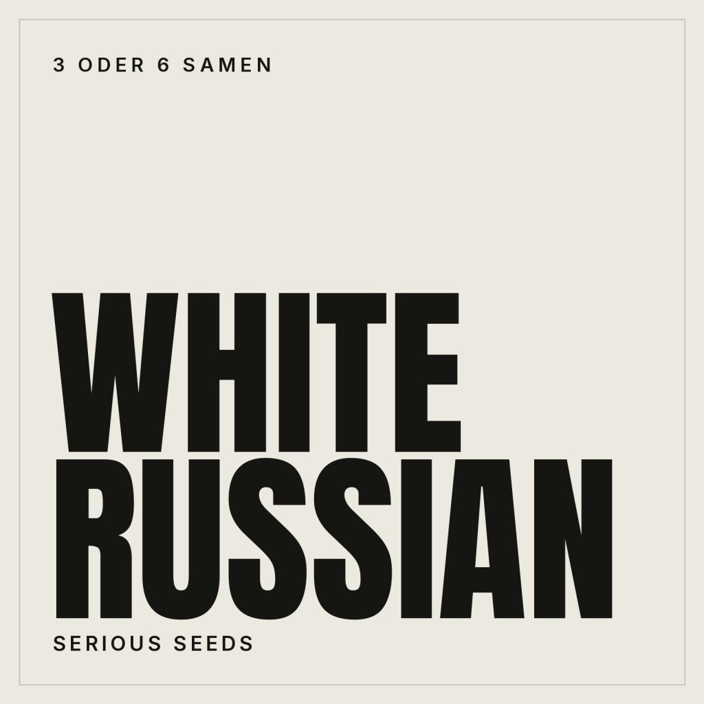 Serious Seeds White Russian Samen