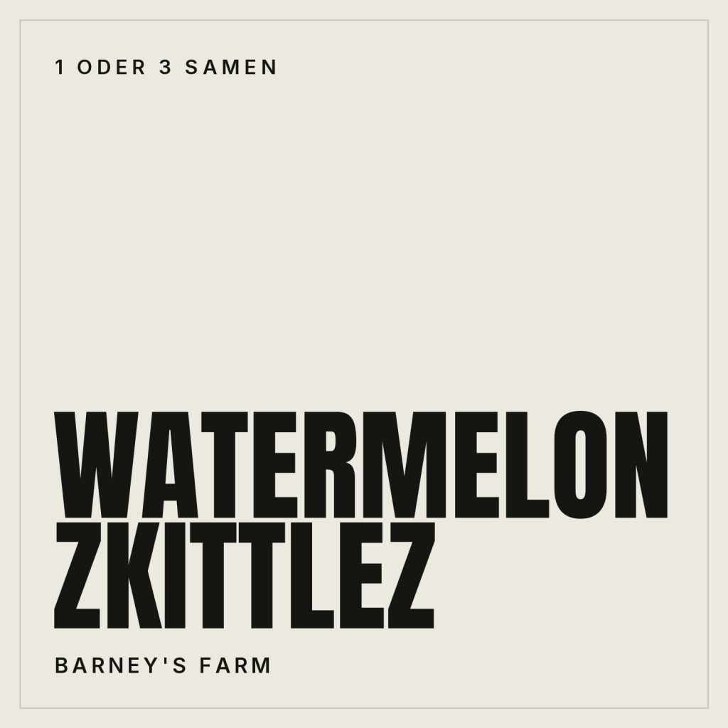 Barney's Farm Watermelon Zkittlez