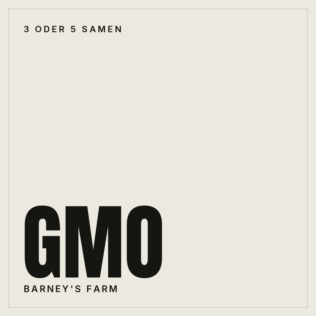 Barney's Farm GMO Samen