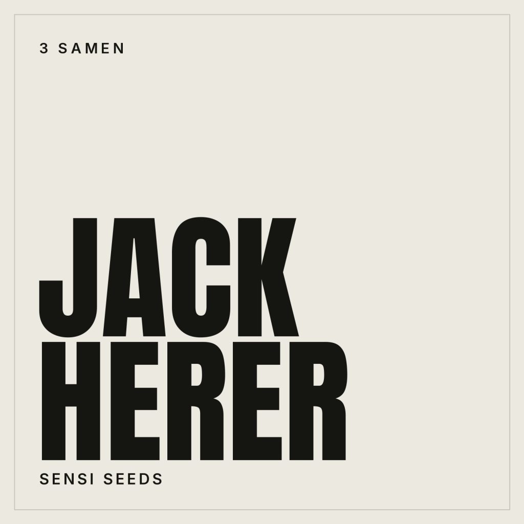 Sensi Seeds Jack Herer Samen