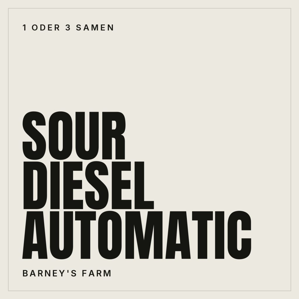 Barney's Farm Sour Diesel Automatic Samen