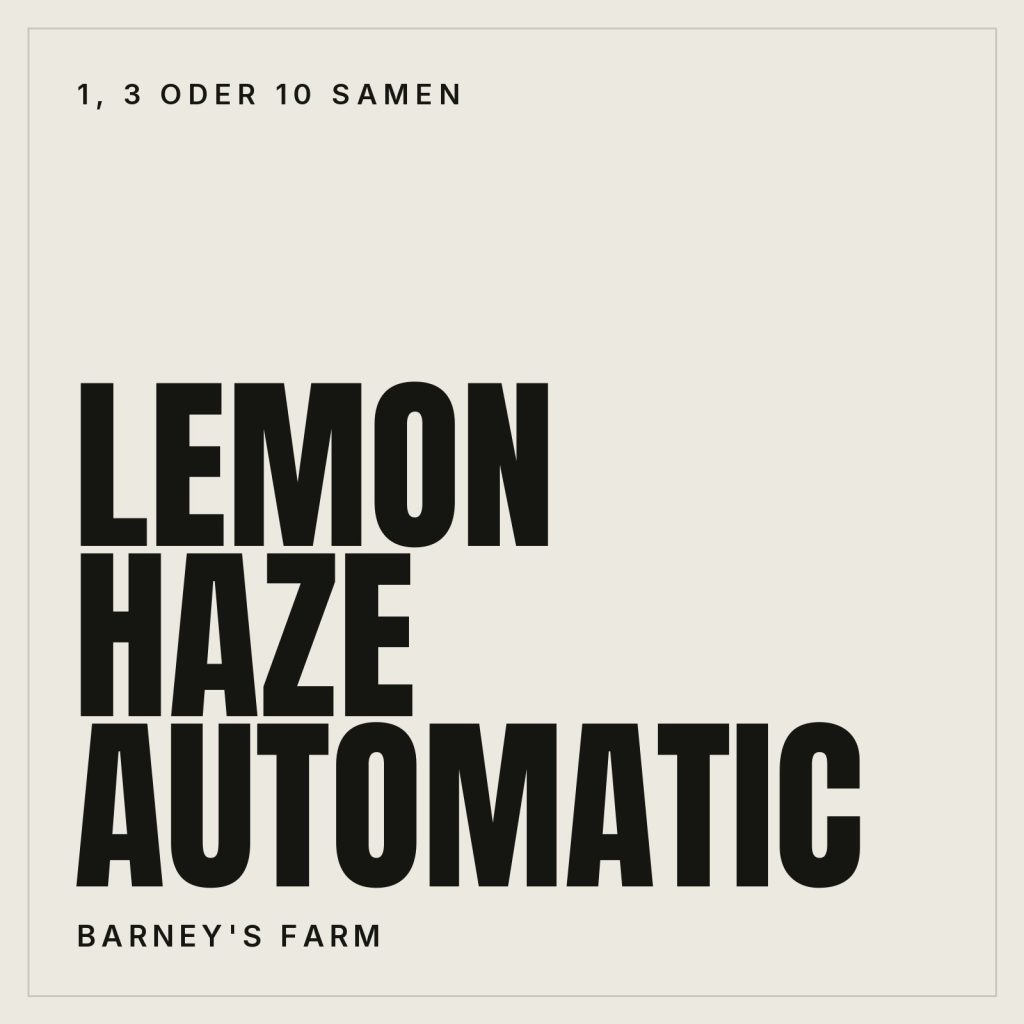 Barney's Farm Lemon Haze Automatic Samen