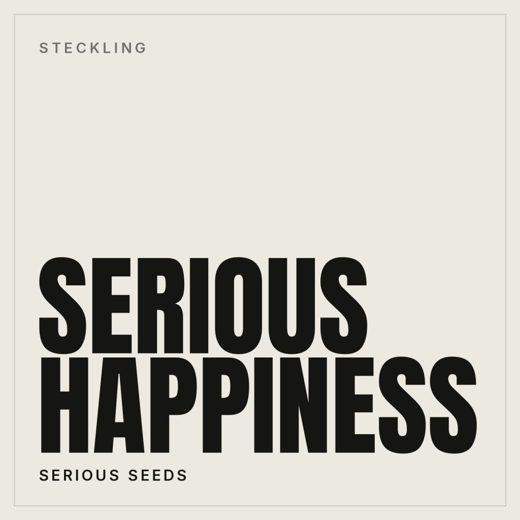 Serious Happiness Steckling