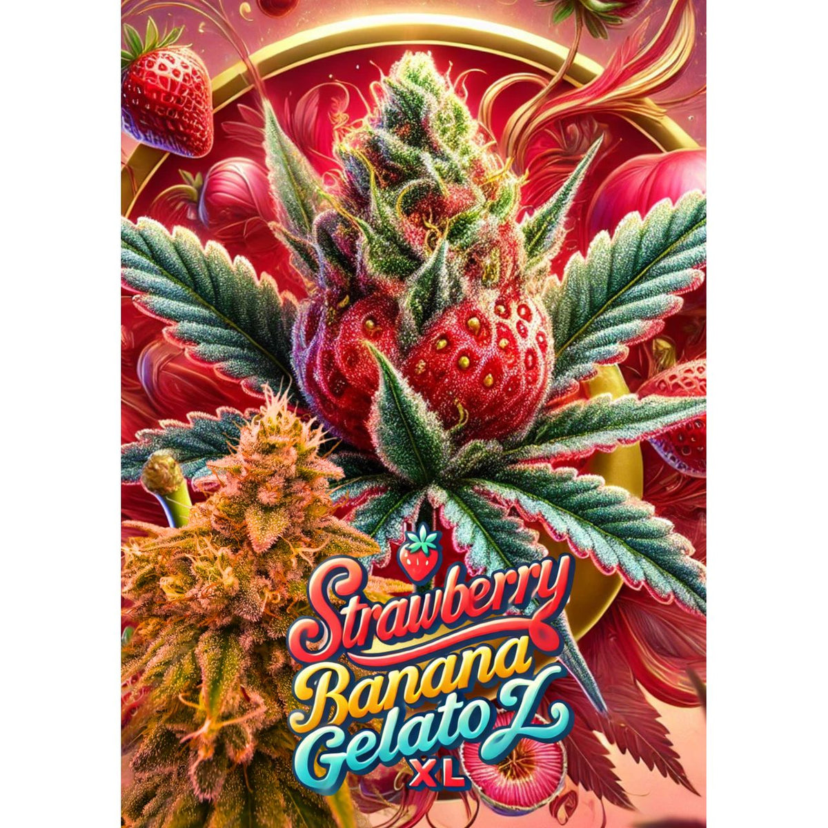 Sweet Seeds Strawberry Banana Gelato XL Samen Automatic 3+1