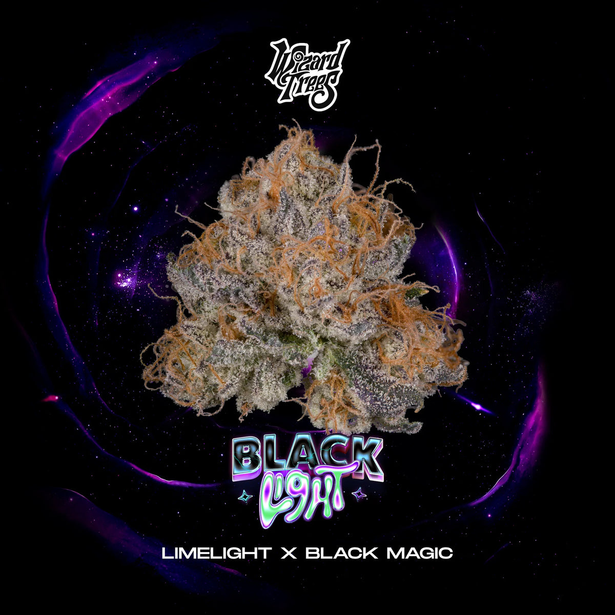 Wizard Trees Black Light Feminisierte Hanfsamen