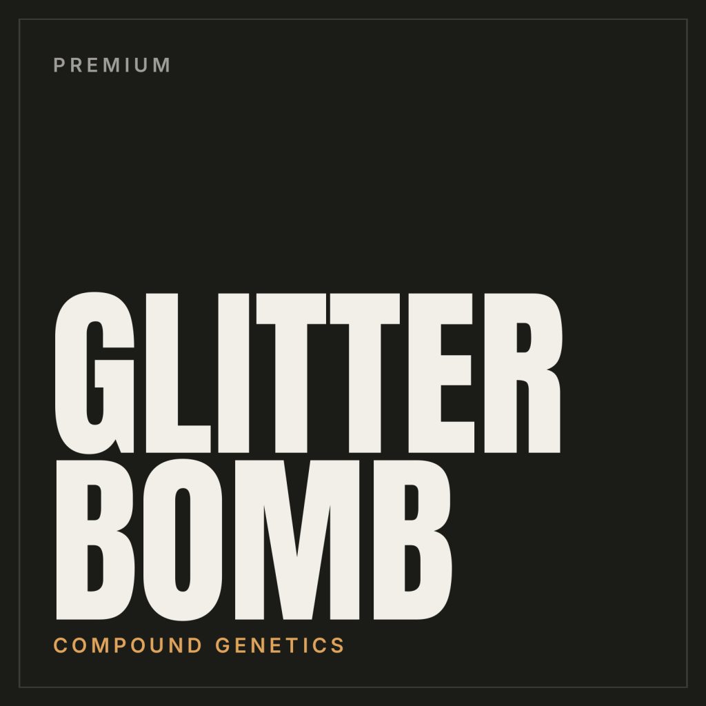 Glitter Bomb Steckling