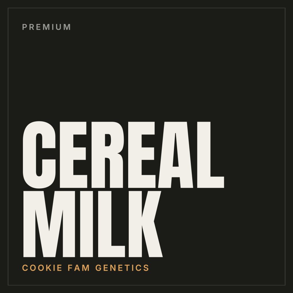 Cereal Milk Steckling