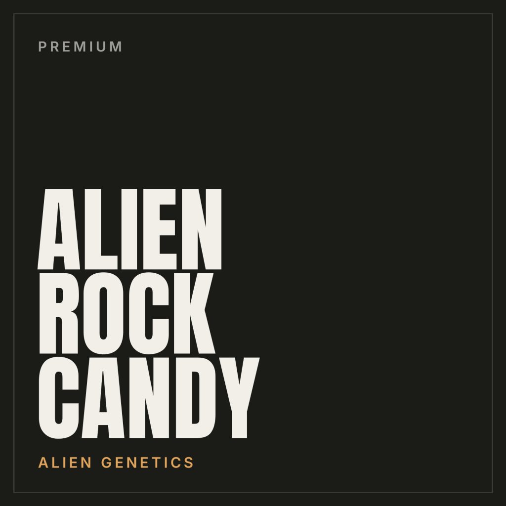 Alien Rock Candy Steckling