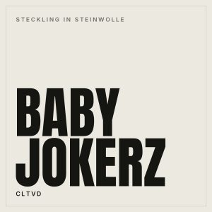 Baby Jokerz in Steinwolle