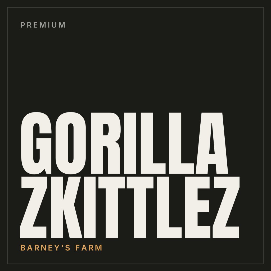 Gorilla Zkittlez Steckling