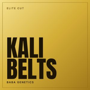 Kali Belts Steckling, Elite Cut von Baba Genetics
