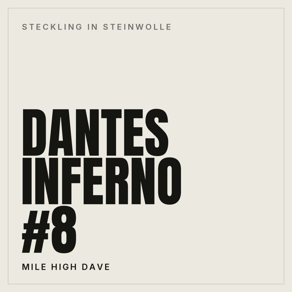 Dantes Inferno #8 Steckling